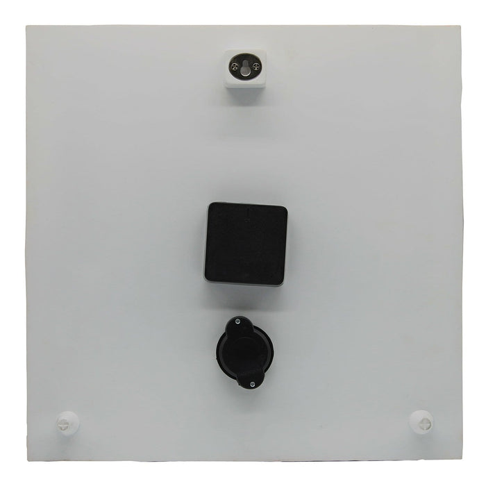Back view of the Seahorse Clock with Thermometer showing wall mounting hardware and a plain white back.