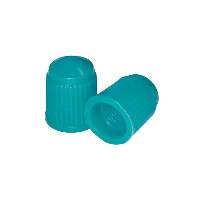 AA Green Plastic Tire Valve Caps (100/Box) - Tire Valves Cap