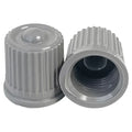AA Premium Silver TPMS Valve Cap (100/Bag) - Tire Valves Cap