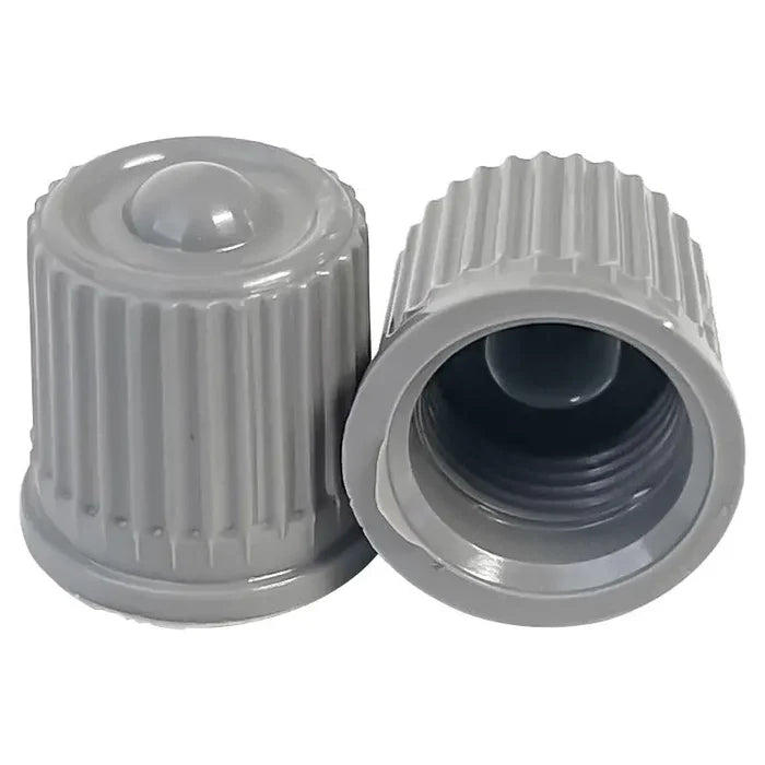 AA Premium Silver TPMS Valve Cap (100/Bag) - Tire Valves Cap
