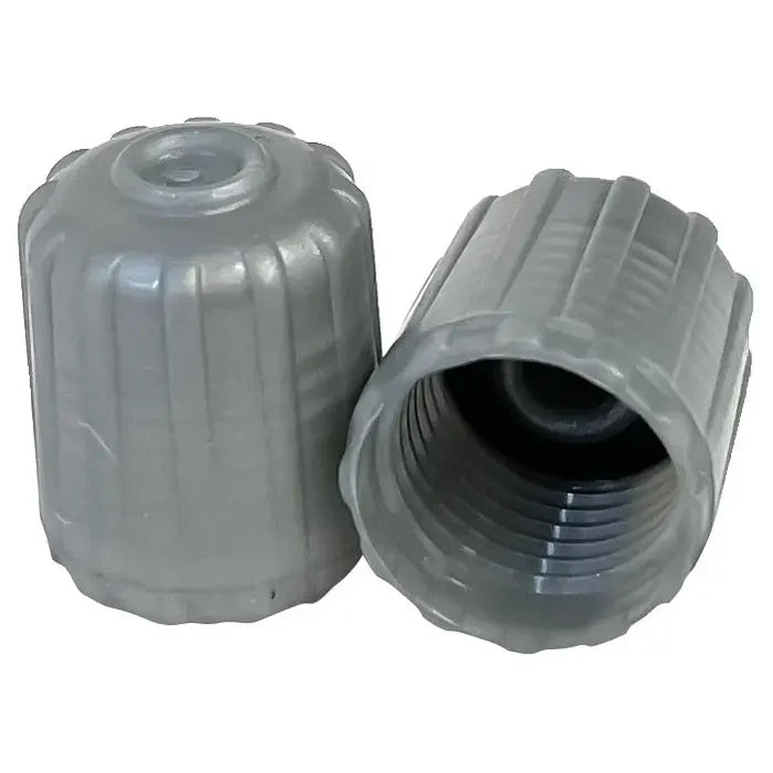 AA Silver TPMS Valve Cap (100/Bag) - Tire Valves Cap