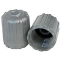 AA Silver TPMS Valve Cap (100/Bag) - Tire Valves Cap
