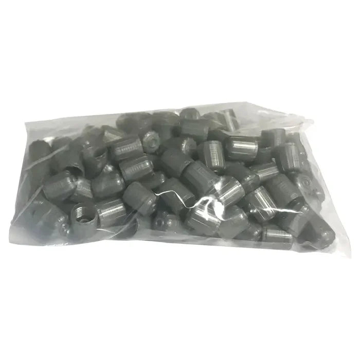 AA Silver TPMS Valve Cap (100/Bag) - Tire Valves Cap