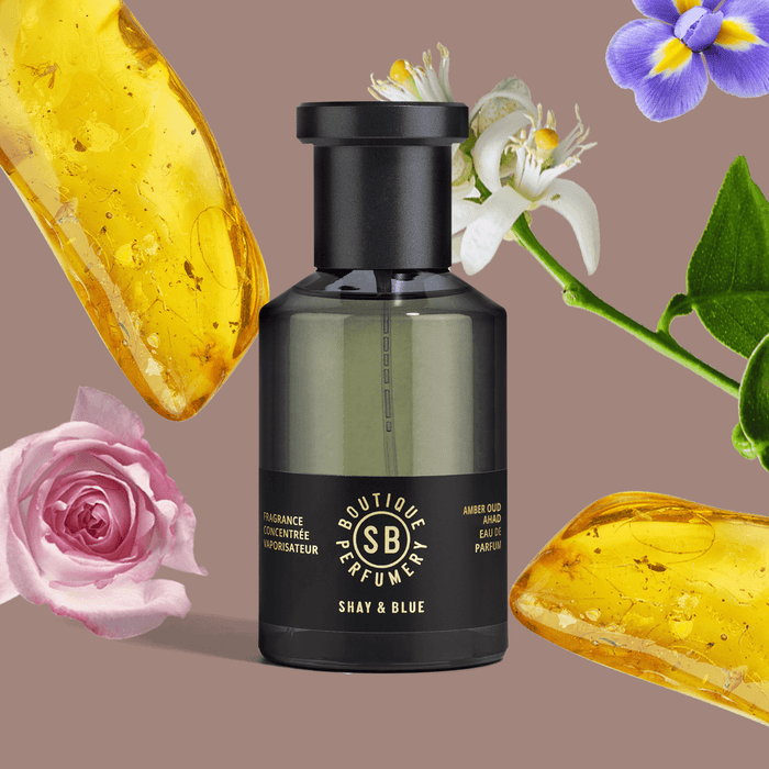 Amber Oud Ahad Fragrance Concentrate 100ml | Richly opulent amber with rare oud. Kissed with elegant iris and red rose. | Clean All Gender Fragrance | Shay & Blue