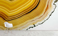 Amberwood Wall Mural by Walls Need Loveå¨