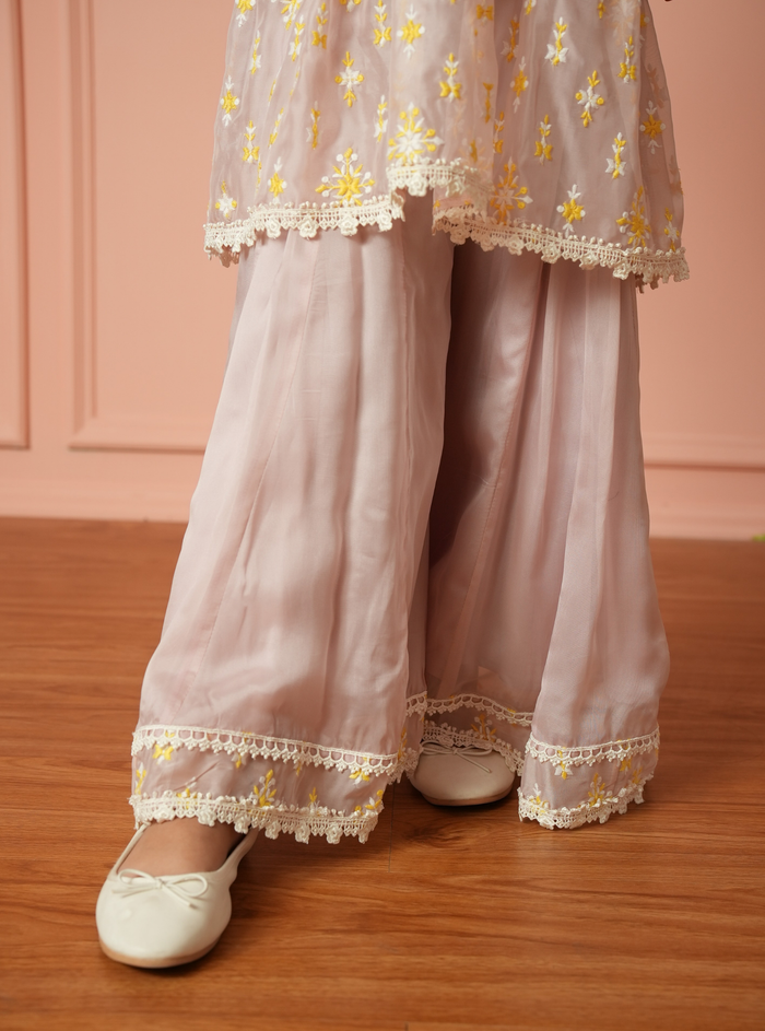 Averine Organza Dusty Pink Kurta Set