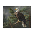 Bald Eagle Perched on a Branch Puzzle - 1014 Pieces