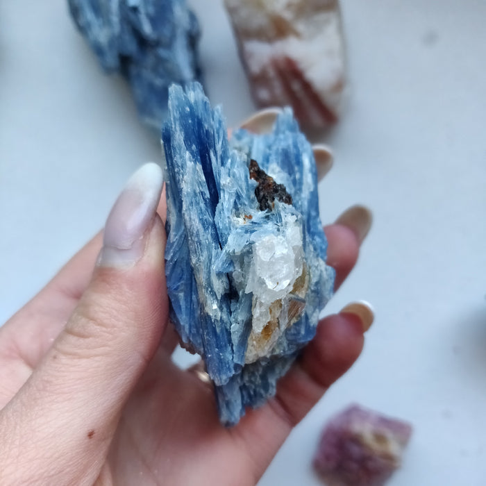 Blue Kyanite Specimen with Garnet Inclusions (#7)