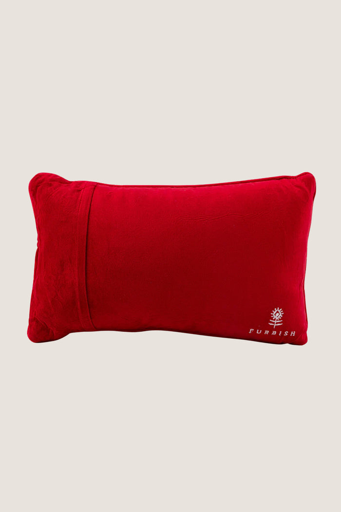 Control Freak Needlepoint Pillow