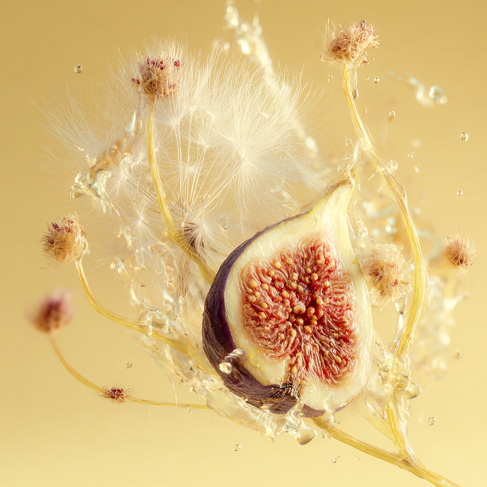 Dandelion Fig Perfume 10ml