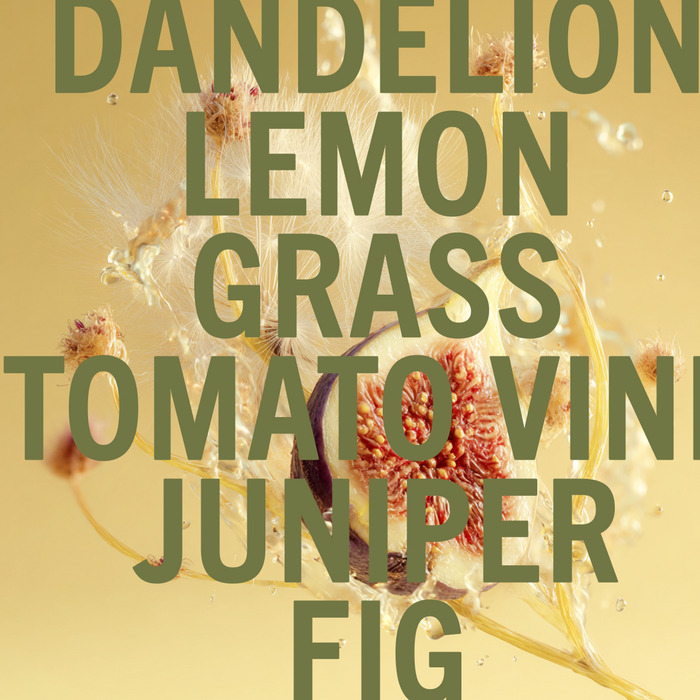 Dandelion Fig Perfume 30ml