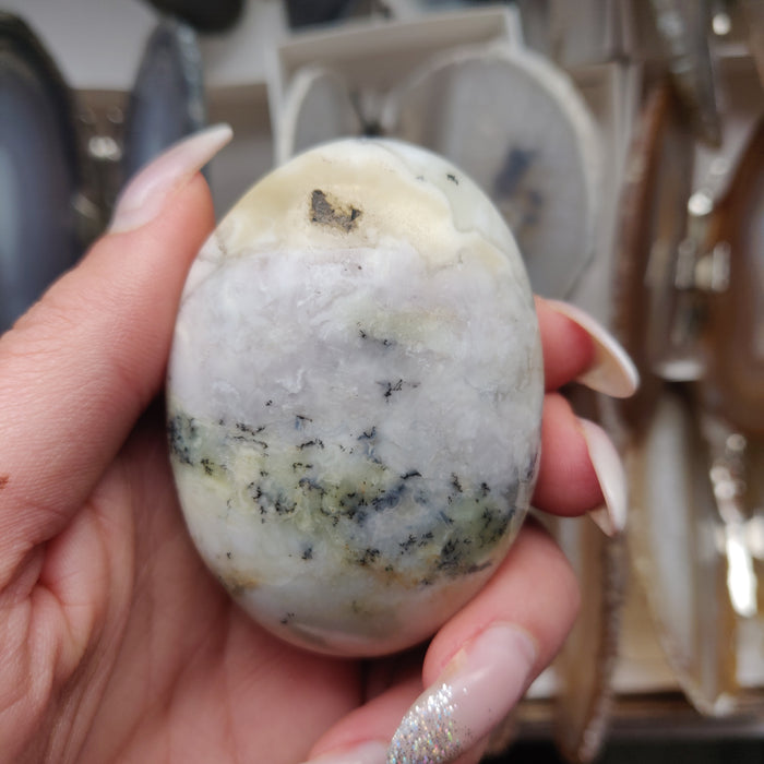 Dendritic Opal Palm Stone (#31)