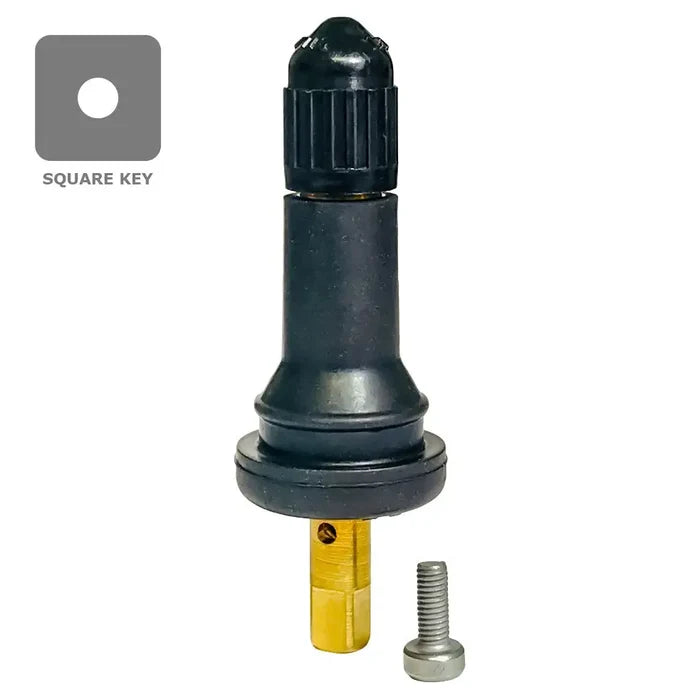 Dill VS-65 TPMS Snap-in Valve (.453) (Ea) - TPMS Parts &