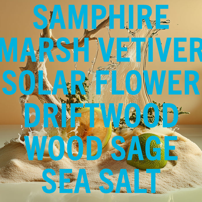 Driftwood Sea Salt Perfume 10ml