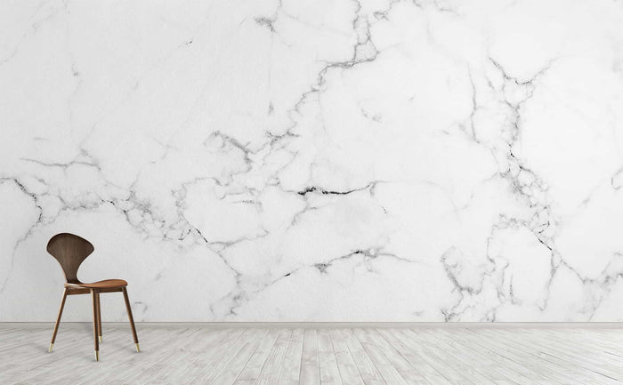 Grand Entrance Wall Mural by Walls Need Loveå¨