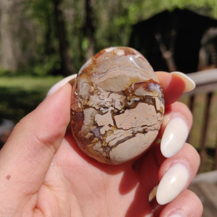 Ibis Jasper Palm Stone (#12)
