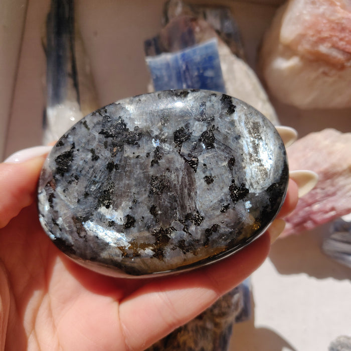Larvikite Palm Stone (#2)