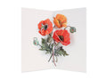 Poppies
