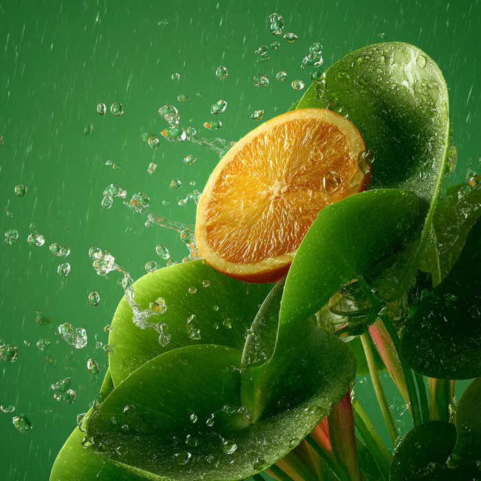 Rain Shower Leaf Perfume 10ml