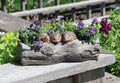 Roman Hedgehog Garden Planter 14" x 5.25"