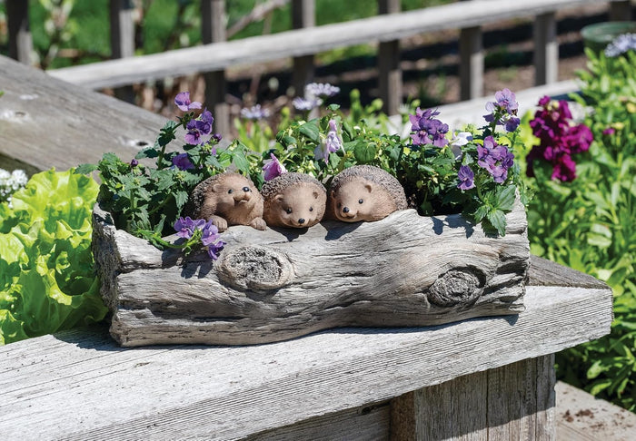 Roman Hedgehog Garden Planter 14" x 5.25"