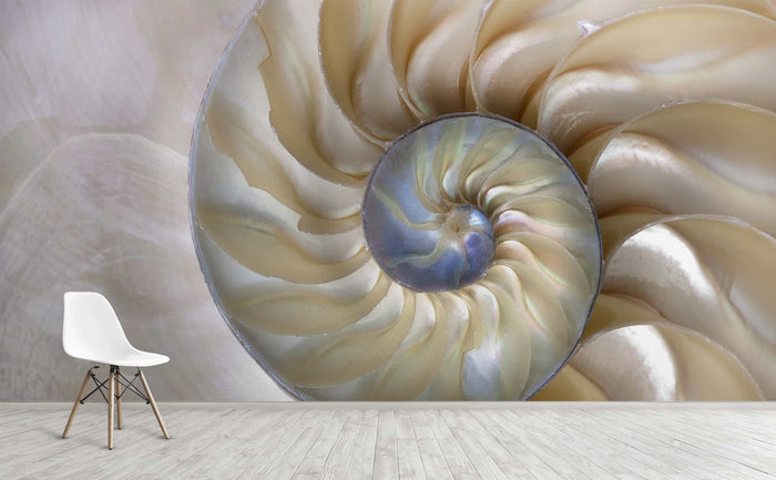 Room to Grow Wall Mural by Walls Need Loveå¨