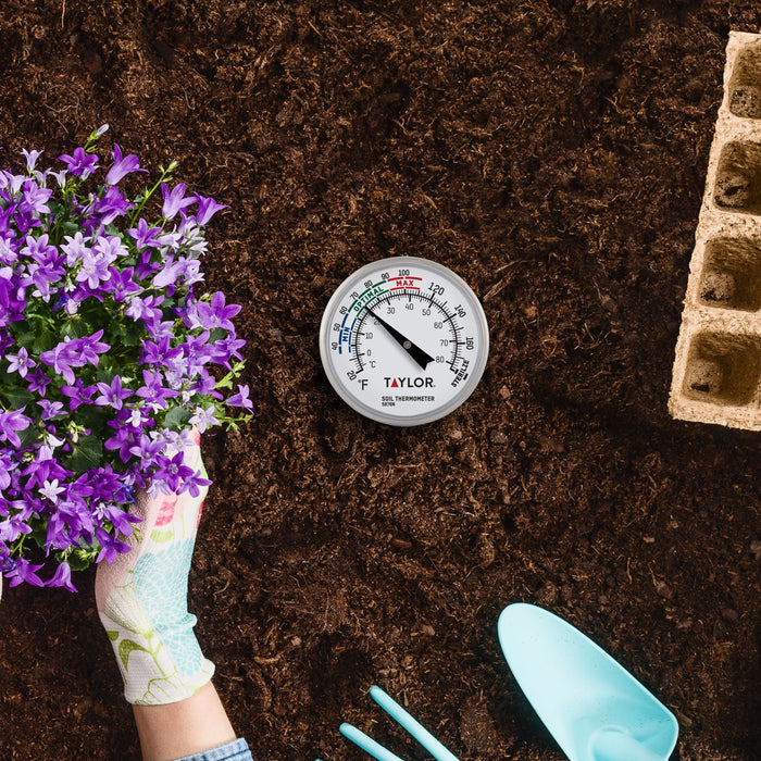 Soil temperature thermometer in soil beside purple flowers and a stone edge