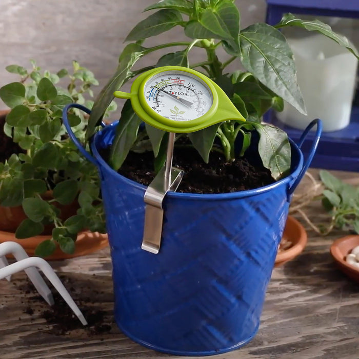 Lime green soil thermometer with decorative leaf guard in a blue plant pot among green leaves