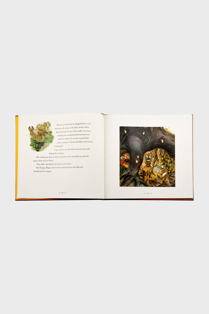 The Classic Tale of Peter Rabbit book open to pages 20-21, featuring a rabbit tale with classic, high-end illustrations for an effortless, fun storytelling experience.