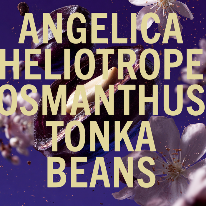Tonka Angelica Perfume 100ml