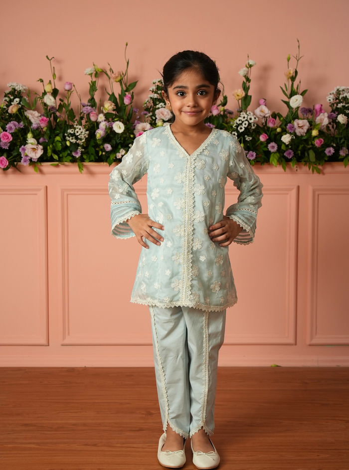 Veloura Organza Blue Kurta Set