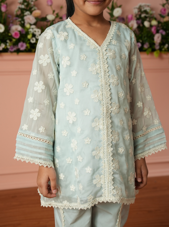 Veloura Organza Blue Kurta Set