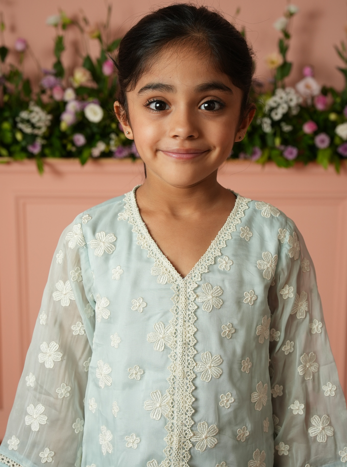 Veloura Organza Blue Kurta Set
